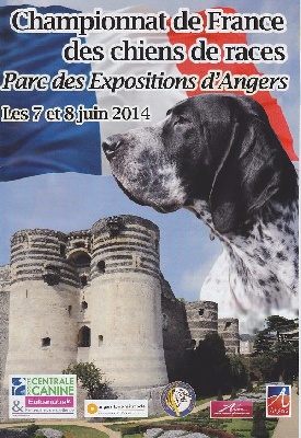 des diamants gris d'Elisa - Angers