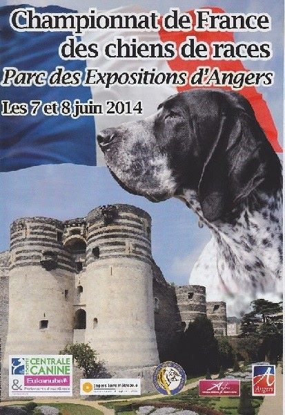des diamants gris d'Elisa - Bulletin du Bleu Mars 2017
