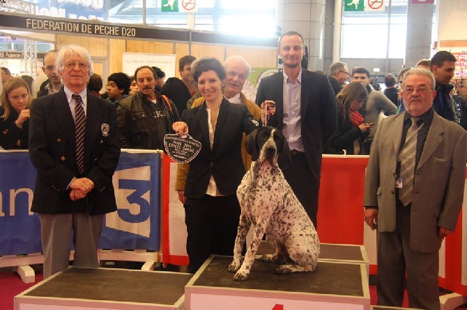 des diamants gris d'Elisa - Salon de l'agriculture 2014