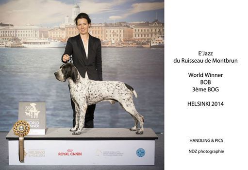 des diamants gris d'Elisa - La Finlande Mondiale 2014