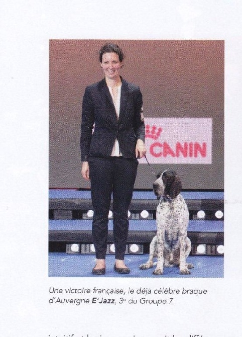 des diamants gris d'Elisa - Magazine SCC 2014