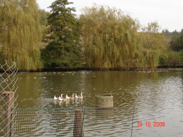 paysages de chasse