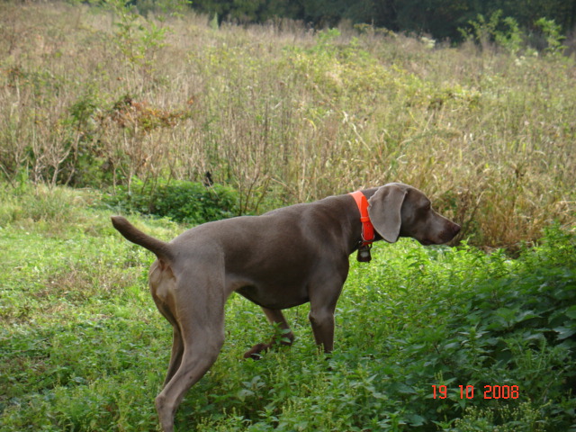 chrystalle a la chasse